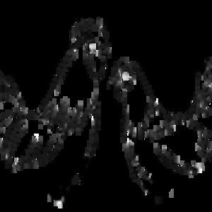 Meet your Posher, Paul